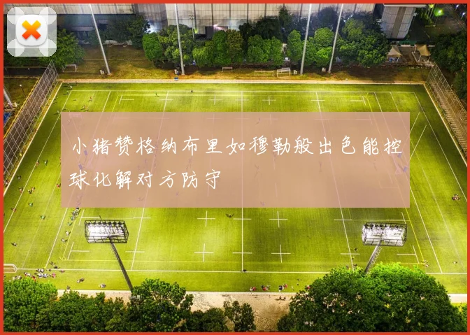 小猪赞格纳布里如穆勒般出色能控球化解对方防守